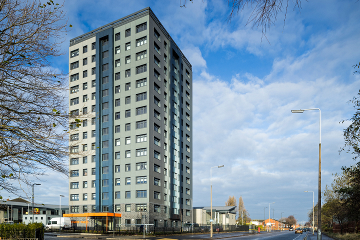 Section header graphic