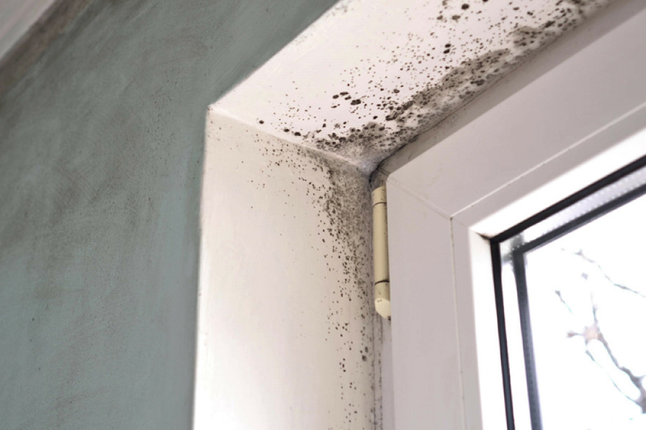 Photo showing damp forming around a window