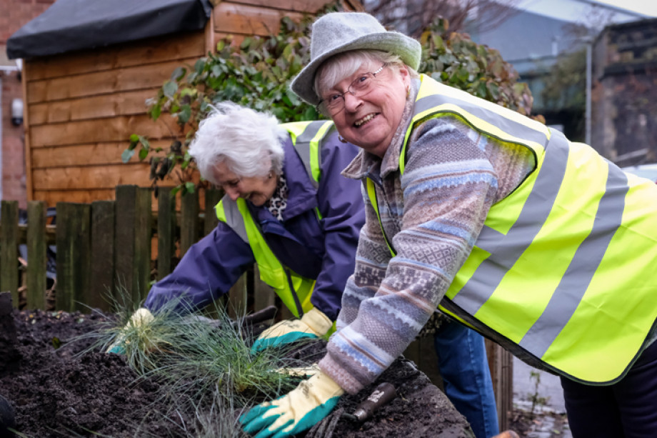 Photo of two people planting a green plant