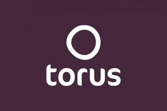 Logo of Torus