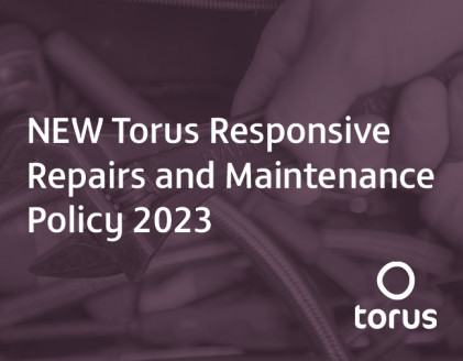 A fresh approach to Torus repairs service