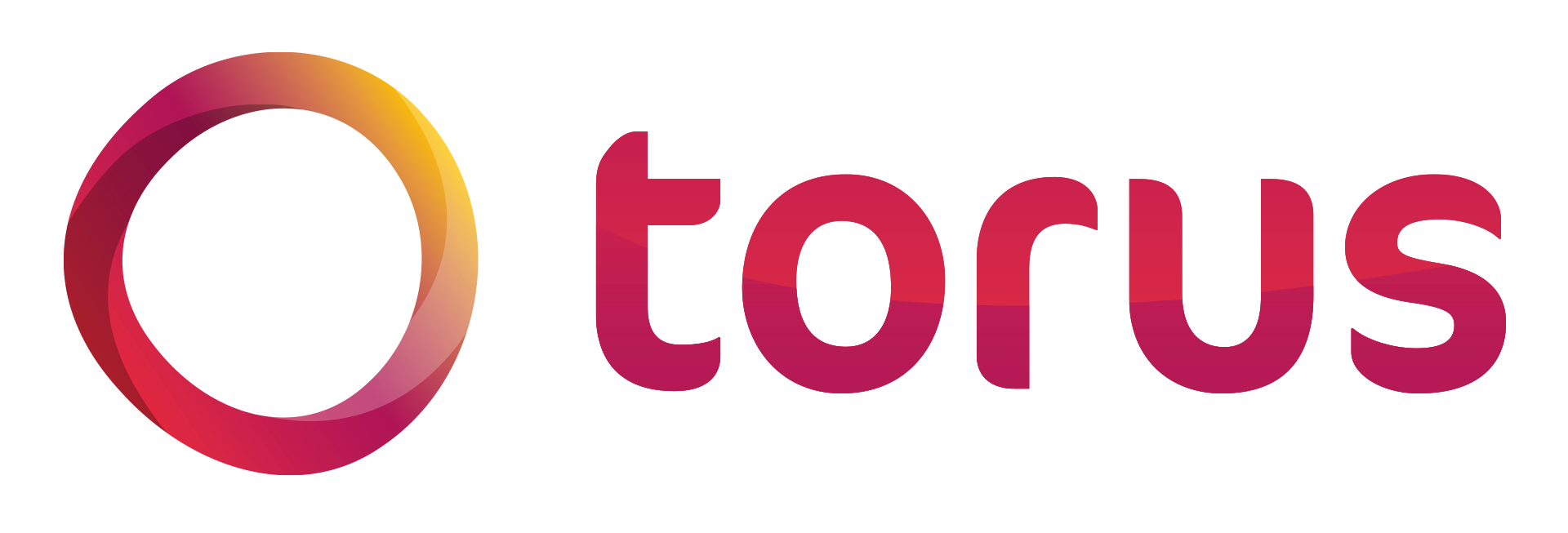 Torus Logo